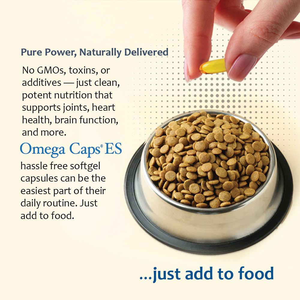Omega Caps ES capsules in hand for easy daily canine supplementation.