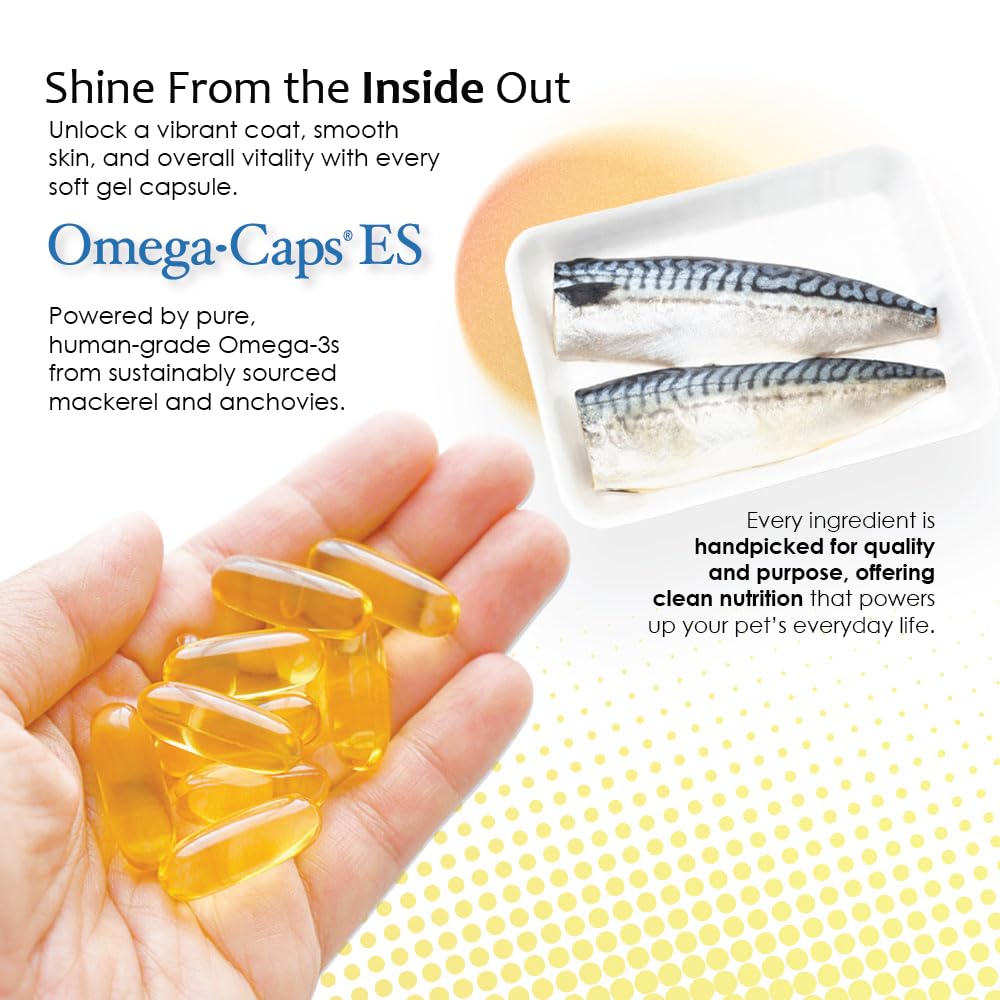 Omega Caps ES joint care visual suggesting mobility support for big breeds.