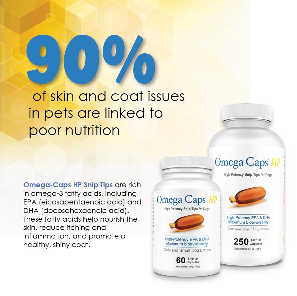 Omega Caps ES supports joints and mobility for aging or active dogs.