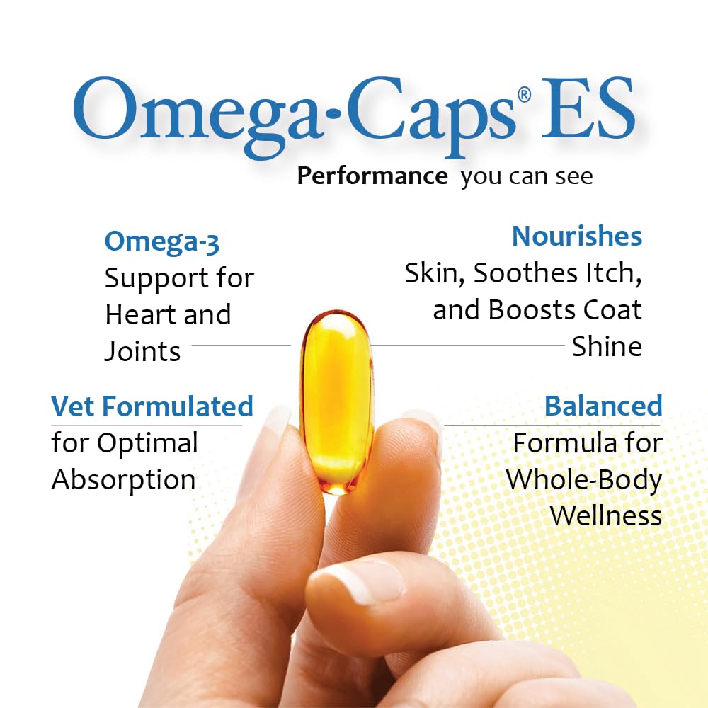 Close-up of Omega Caps ES softgel capsules for high potency canine support.