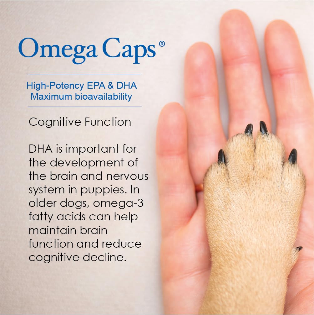Omega Caps ES Vet formulated packaging communicates professional care.