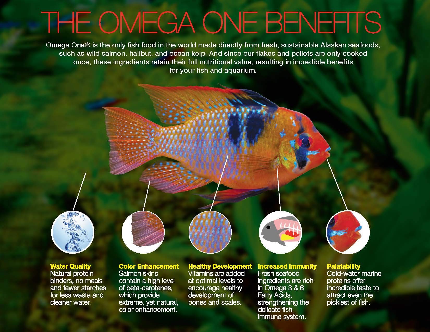 Packaging of Omega One Garlic Marine Large Sinking Pellets, 9 oz, with natural ingredients.