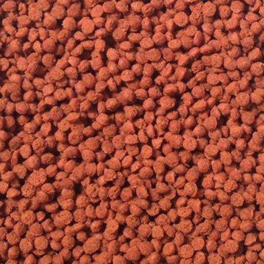 Omega One pellets close-up serving plate showing bottom-feeder feeding behavior and quick consumption.