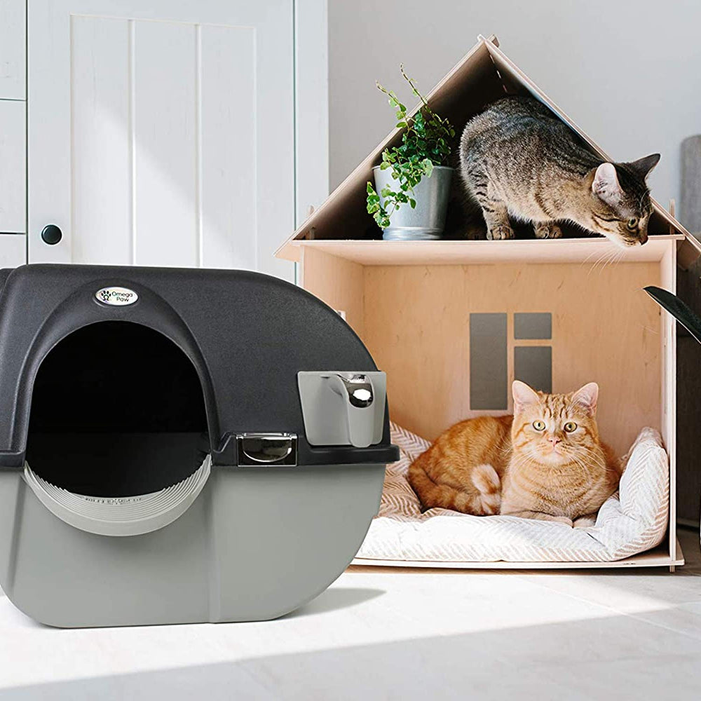 Omega Paw Elite chrome accents showcase a stylish, durable design suited for home use.
