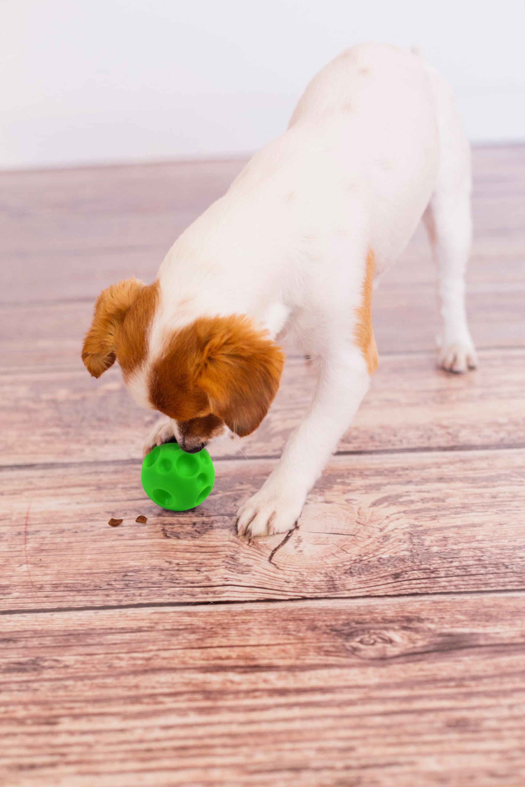 Omega Paw Giggle Tricky Treat Ball bright green under furniture during play.