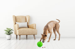 Omega Paw Giggle Tricky Treat Ball close-up, durable vinyl that won't mark floors.