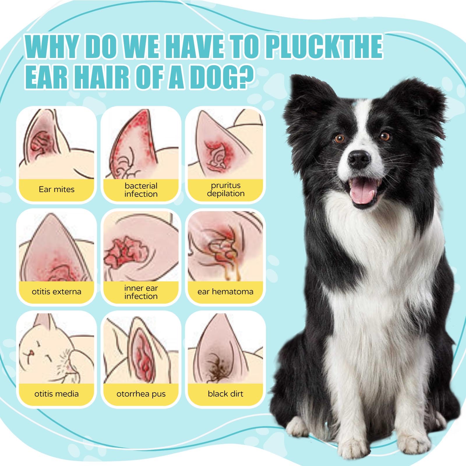 OMYGYM Dog Ear Powder for efficient hair removal