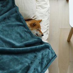 Onarway dog blanket purple 40x28, keeps furniture fur-free while pets relax