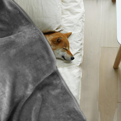 Onarway four-pack dog blanket display showing versatile set.