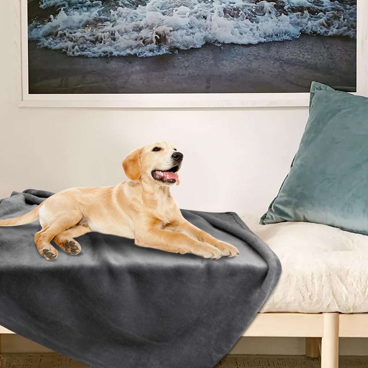 Large 40x47 blanket adds warmth during cozy indoor lounging