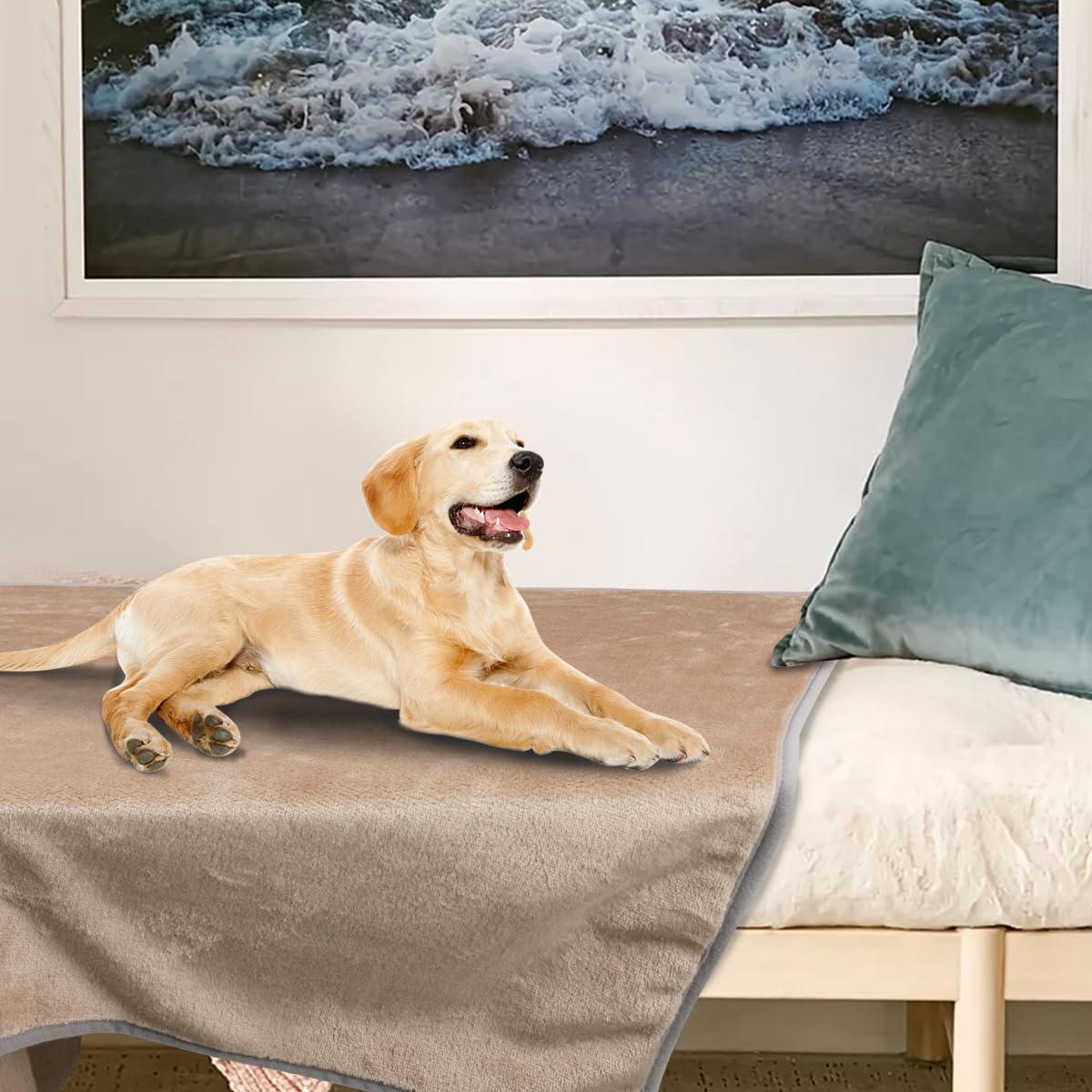 Onarway indoor blanket ideal for bed, crate, or floor.