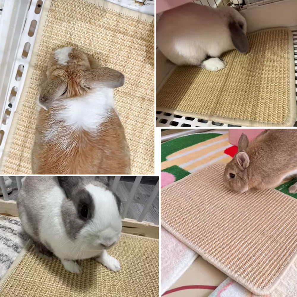 Oncpcare 24x16 bed-nest mat for resting and cooling.
