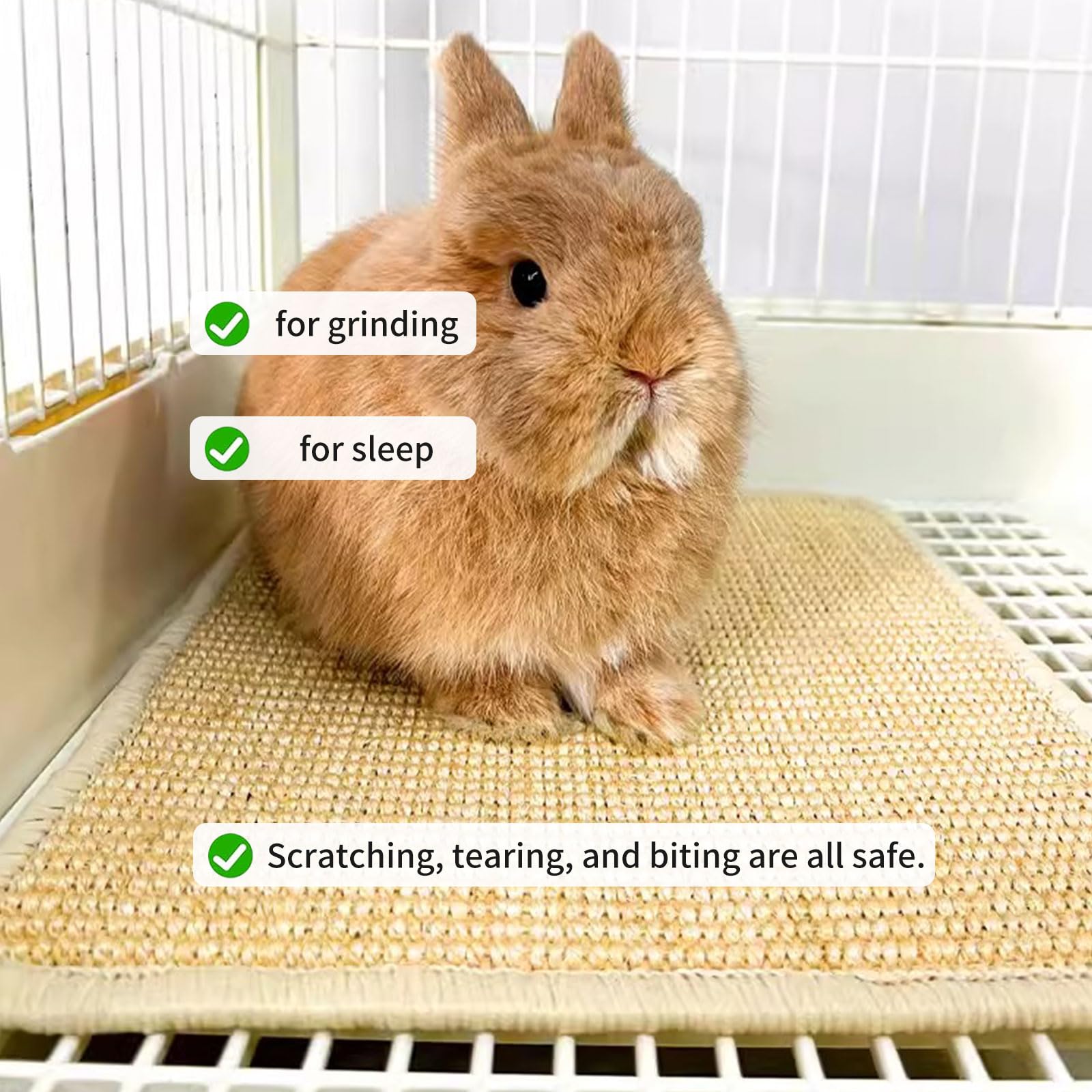 Oncpcare rabbit scratch mat promotes healthy nails and teeth through chewing.