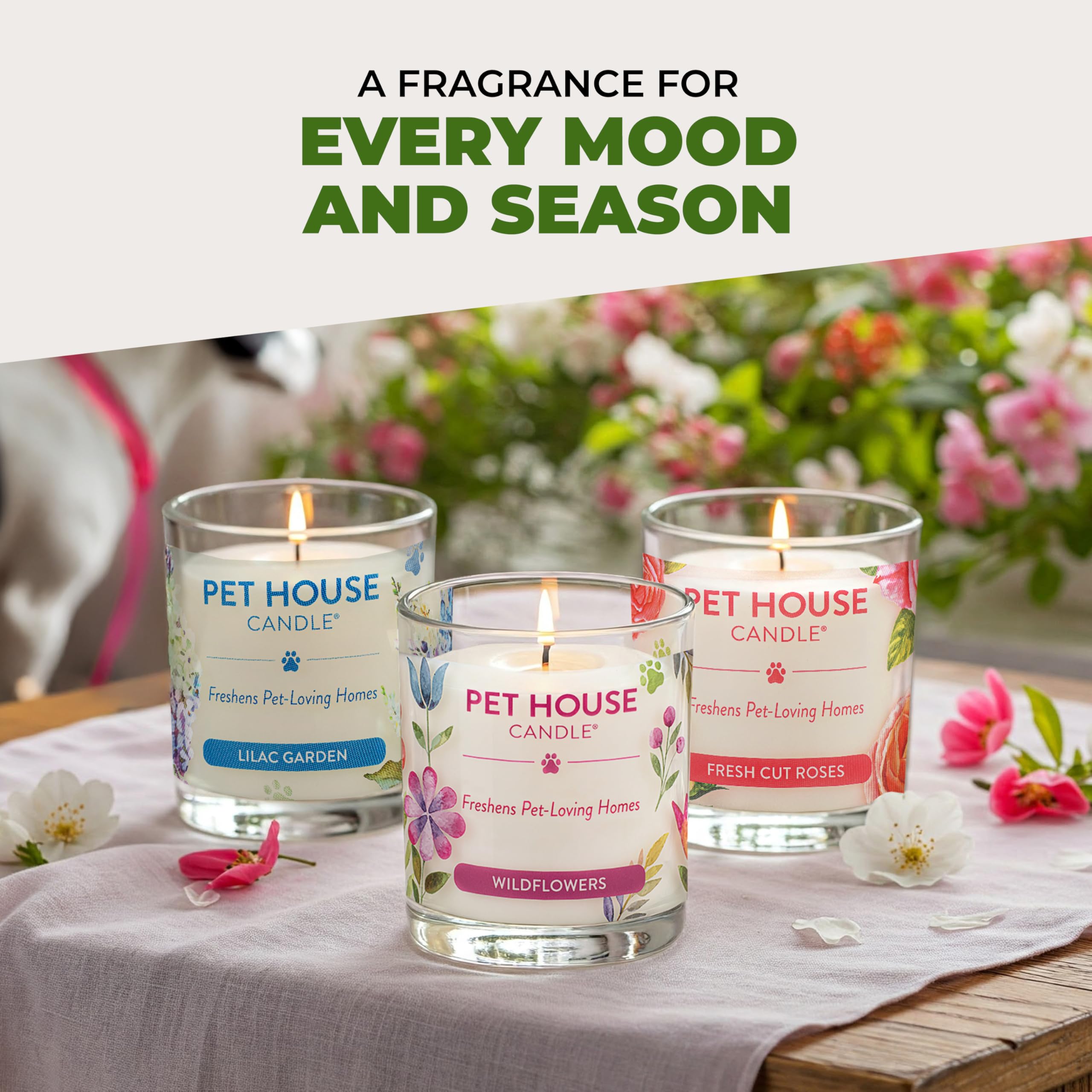 60-hour burn-time highlight for One Fur All Pet House Candle