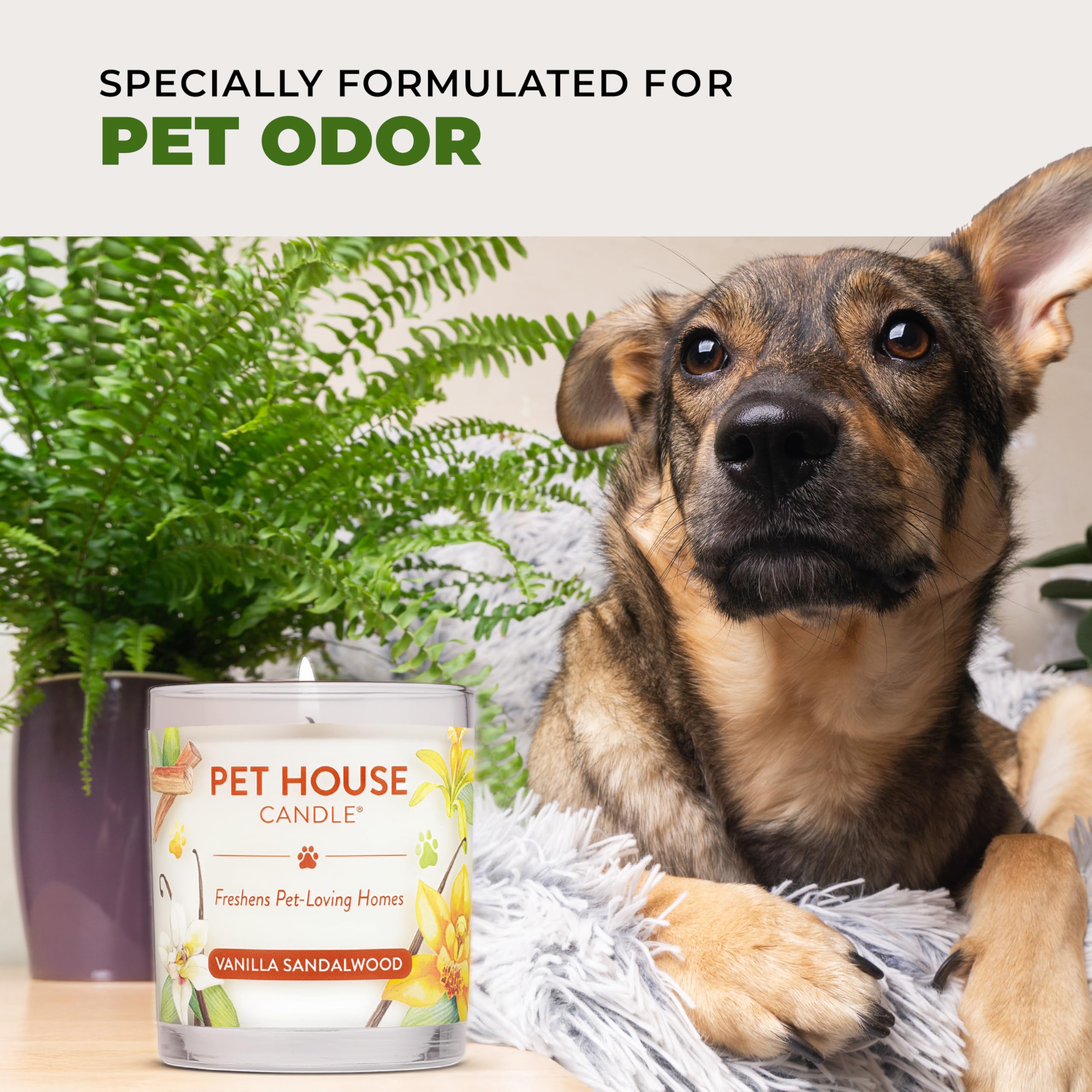 Image of fragrance varieties from One Fur All Pet House Candle collection