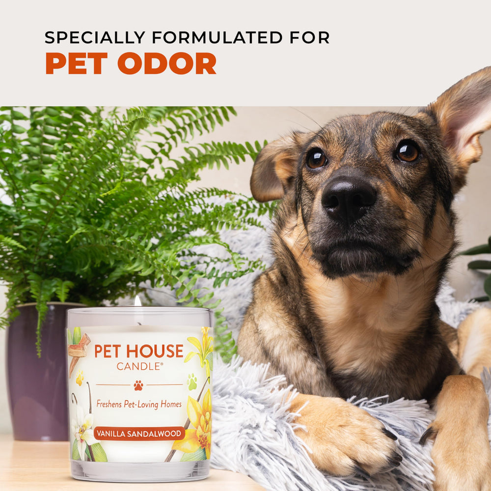 One Fur All Apple Cider candle burns up to 60 hours for enduring ambiance.