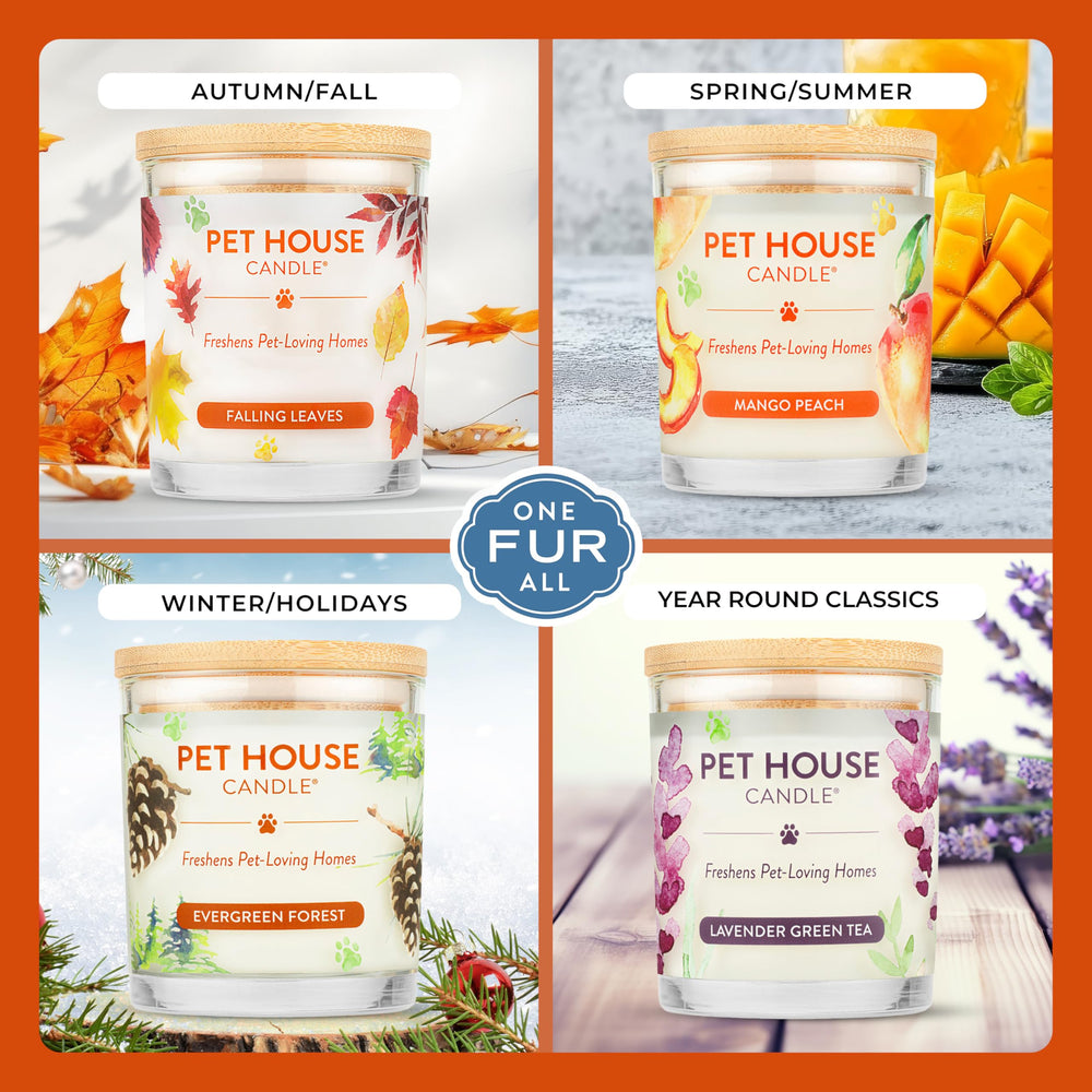 One Fur All Pet House candle in a USA-made jar, dye-free and paraffin-free.