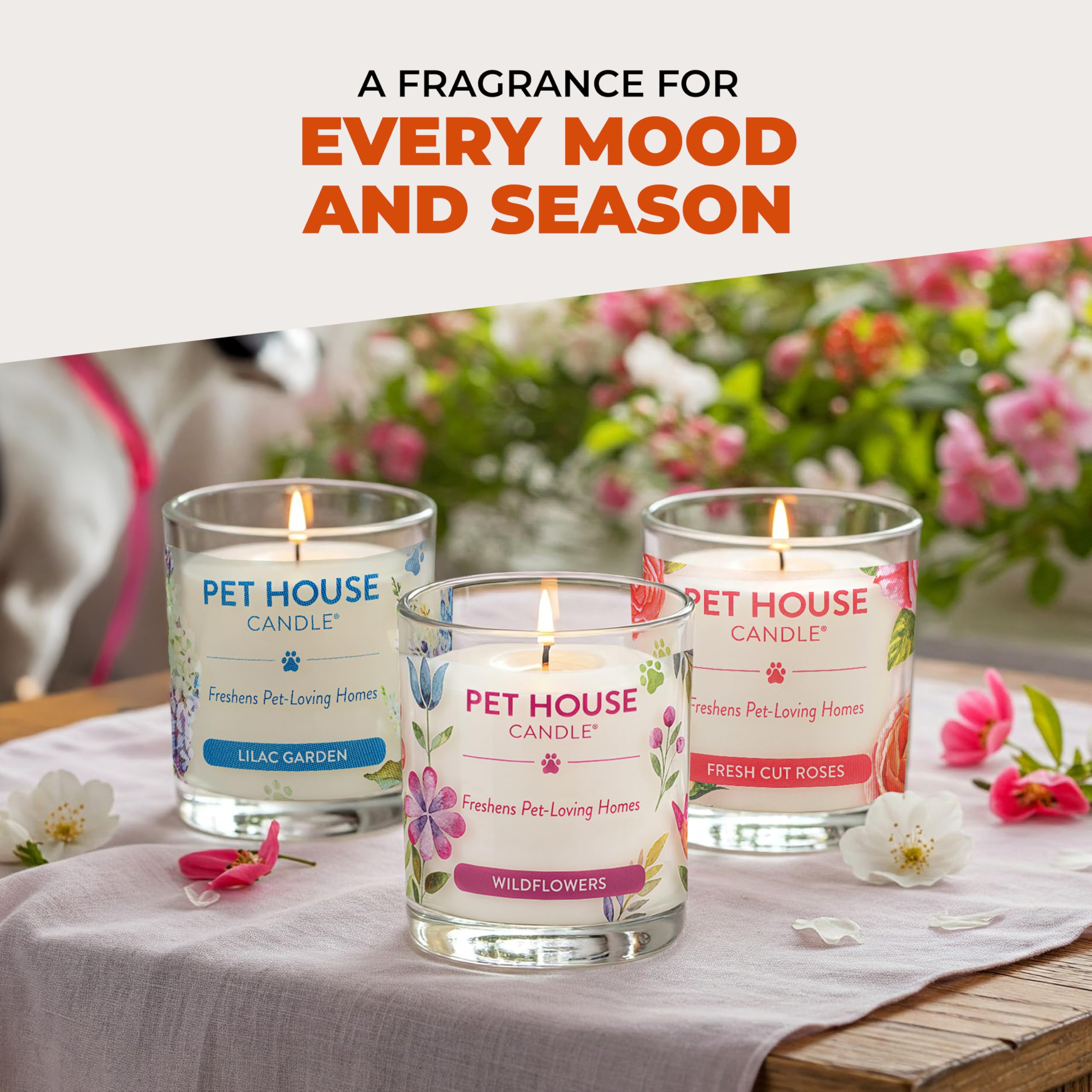 One Fur All 100% plant-based wax candle delivers clean burn without harsh dyes.