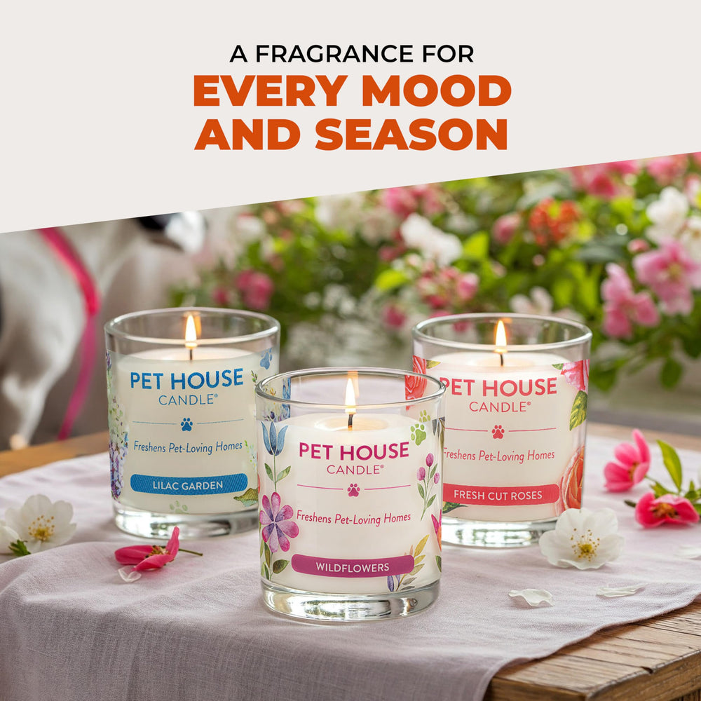 One Fur All 100% plant-based wax candle delivers clean burn without harsh dyes.