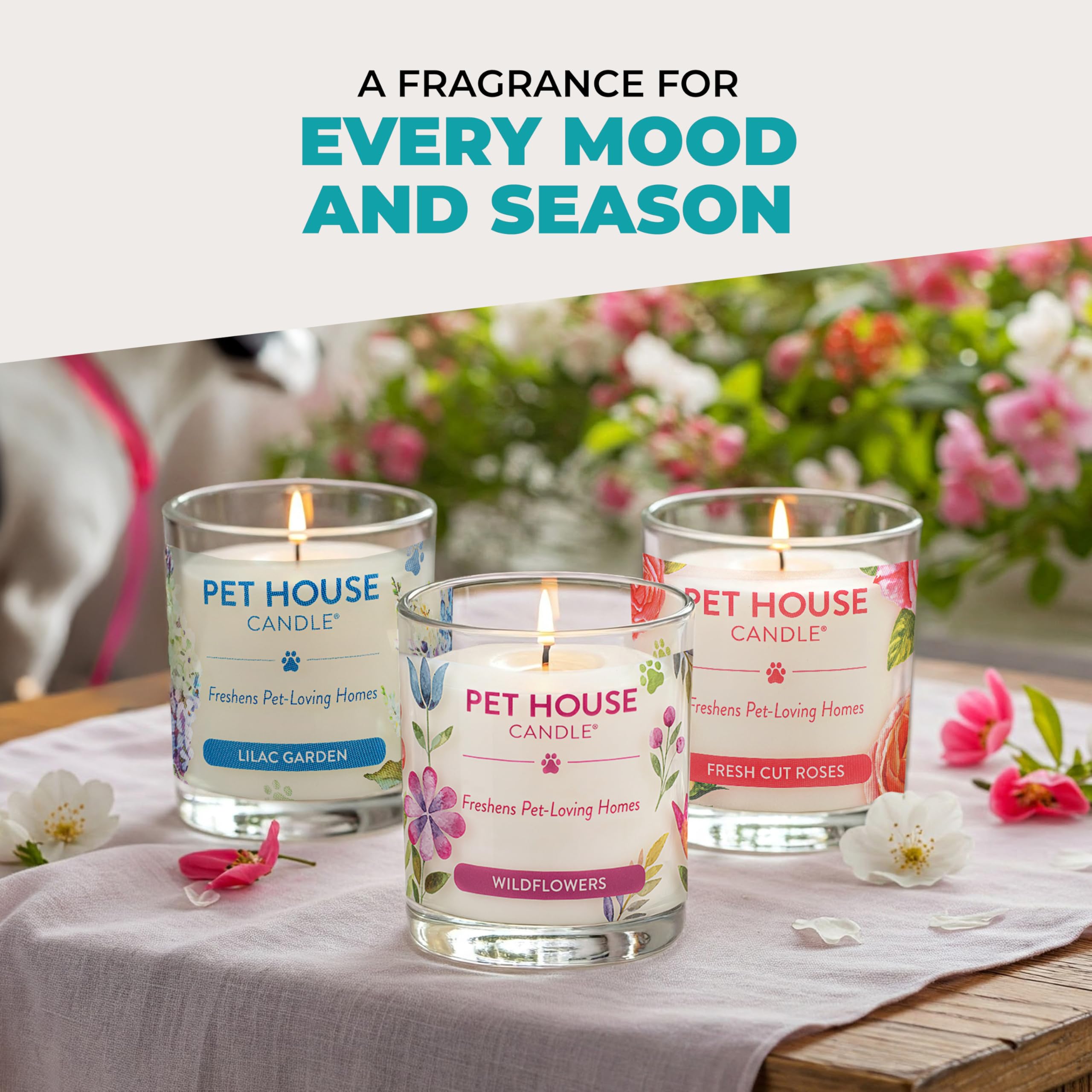 Living room ambience with One Fur All Mediterranean Sea candle in use