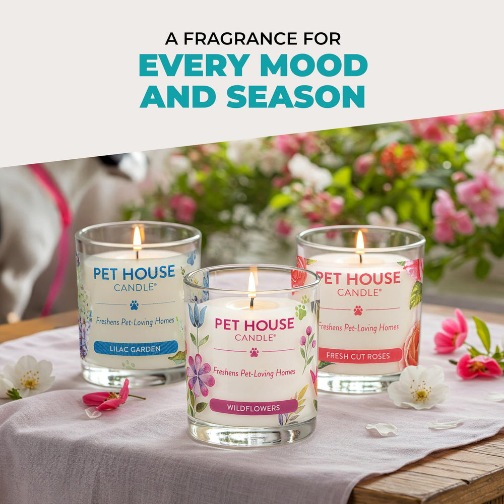 Living room ambience with One Fur All Mediterranean Sea candle in use