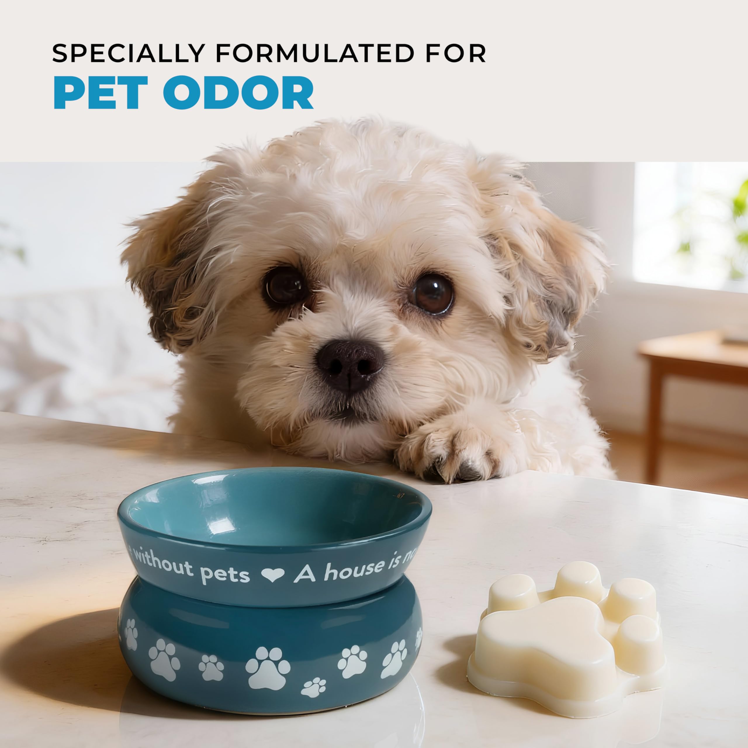 No dyes in One Fur All Sunwashed Cotton wax melts, clean formula