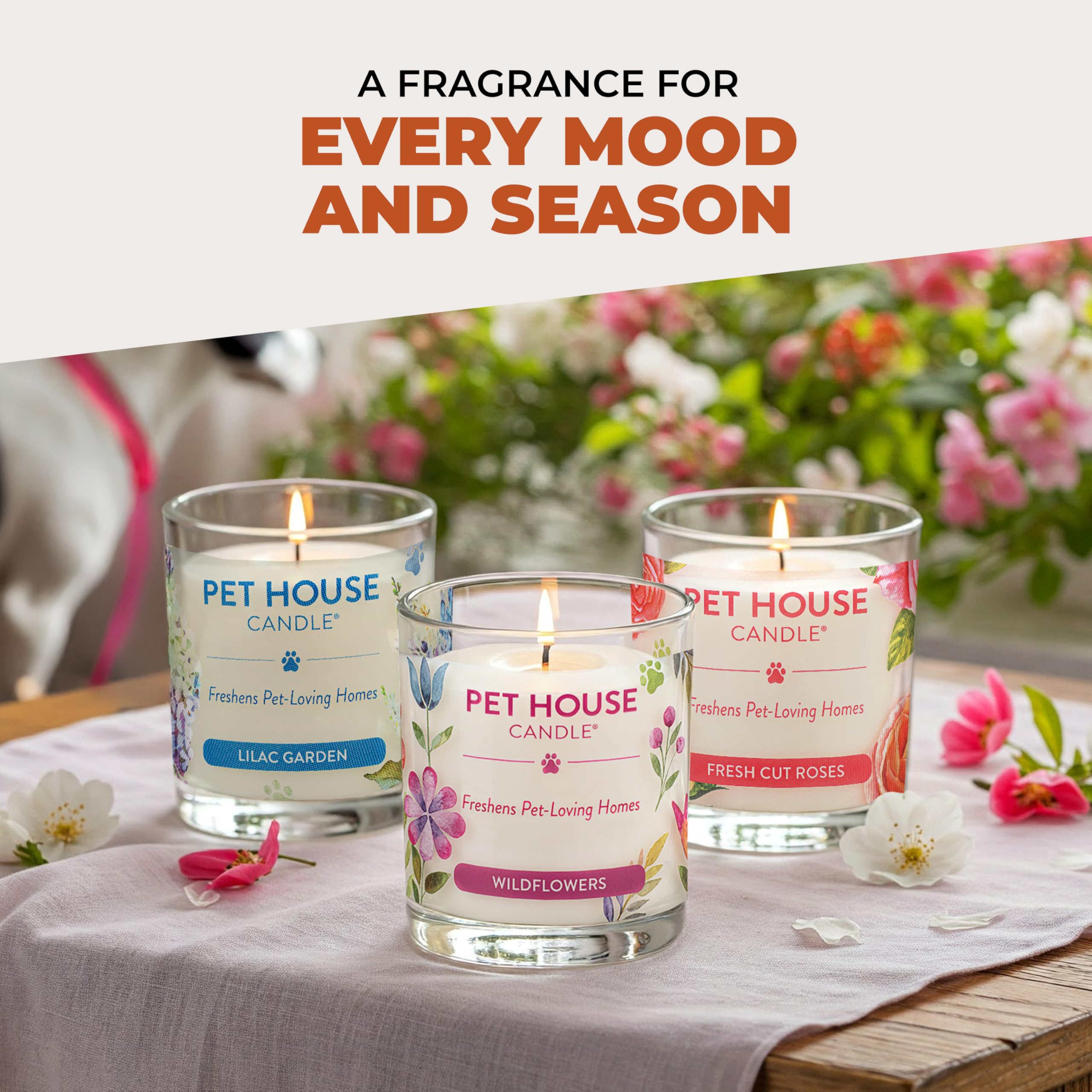 One Fur All room candle ideal for kitchens and living areas.