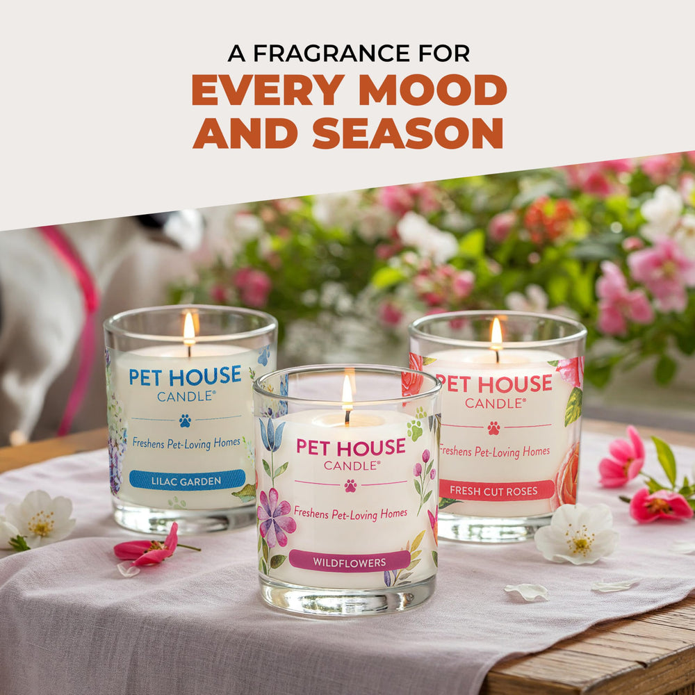 One Fur All room candle ideal for kitchens and living areas.
