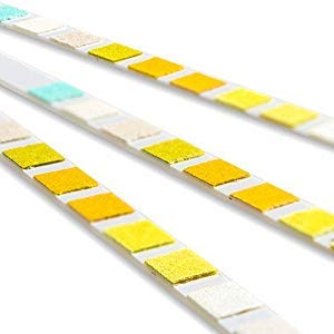 One Step at-home test kit for dogs and cats