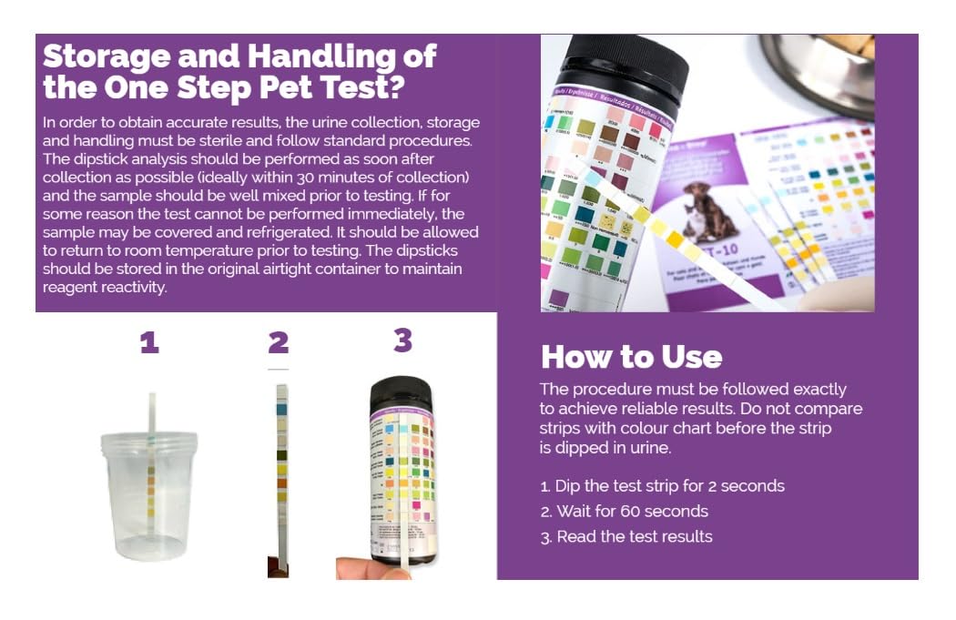 One Step pet urine strip leukocytes parameter readout for accuracy.