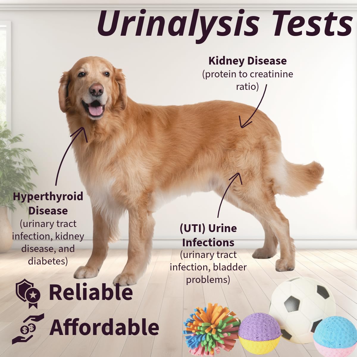 One Step urine strip color chart ready for result reading.