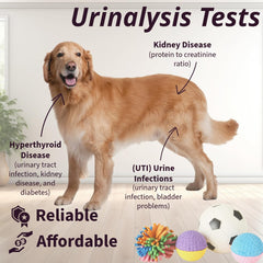 One Step urine strip color chart ready for result reading.