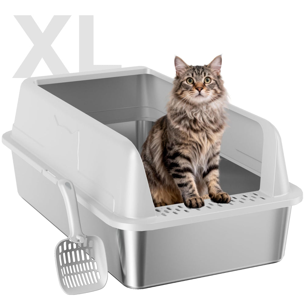 OneBug XL top view shows spacious interior for large cats and multi-cat use.
