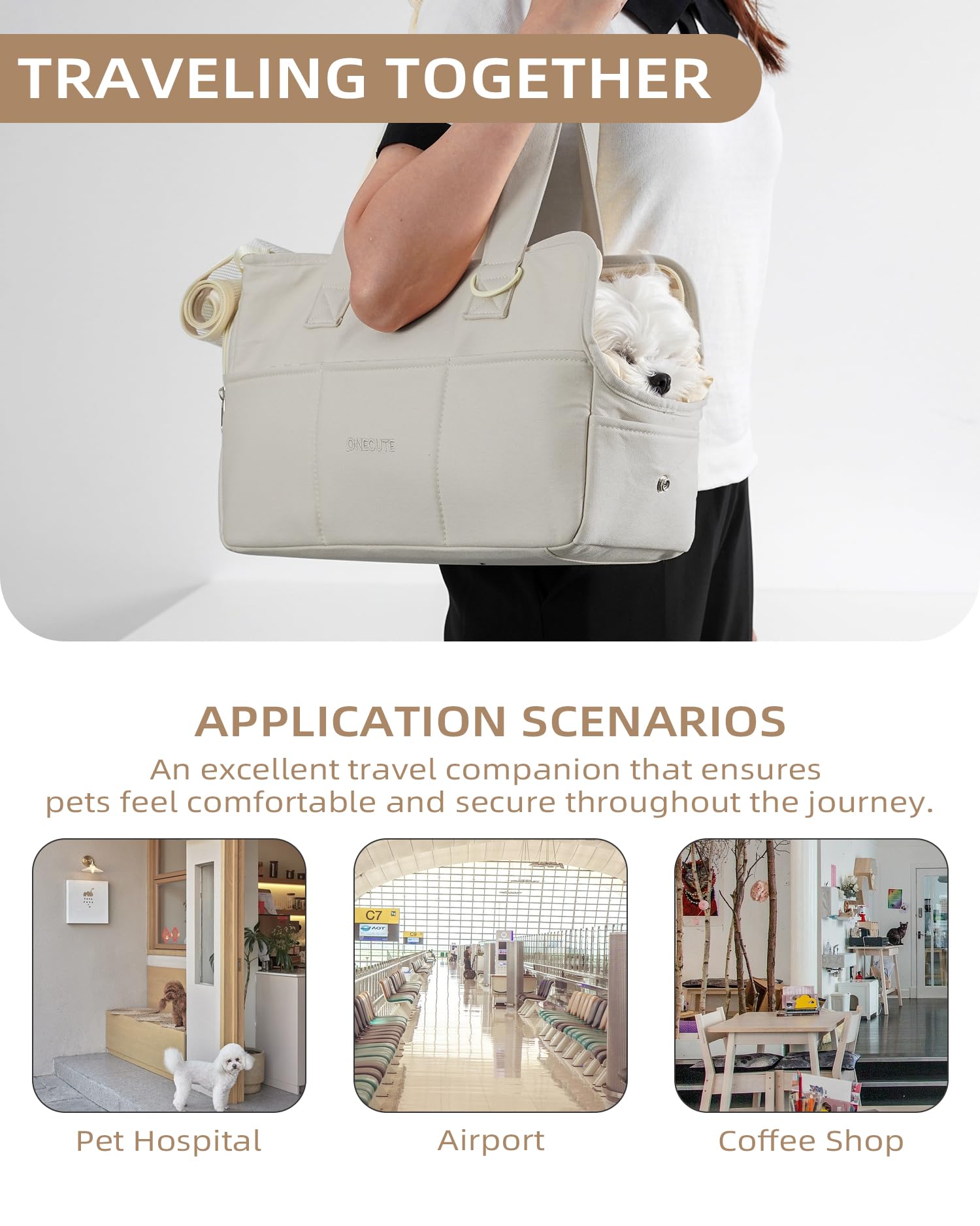 ONECUTE multi purpose carrier for travel, home use and grooming