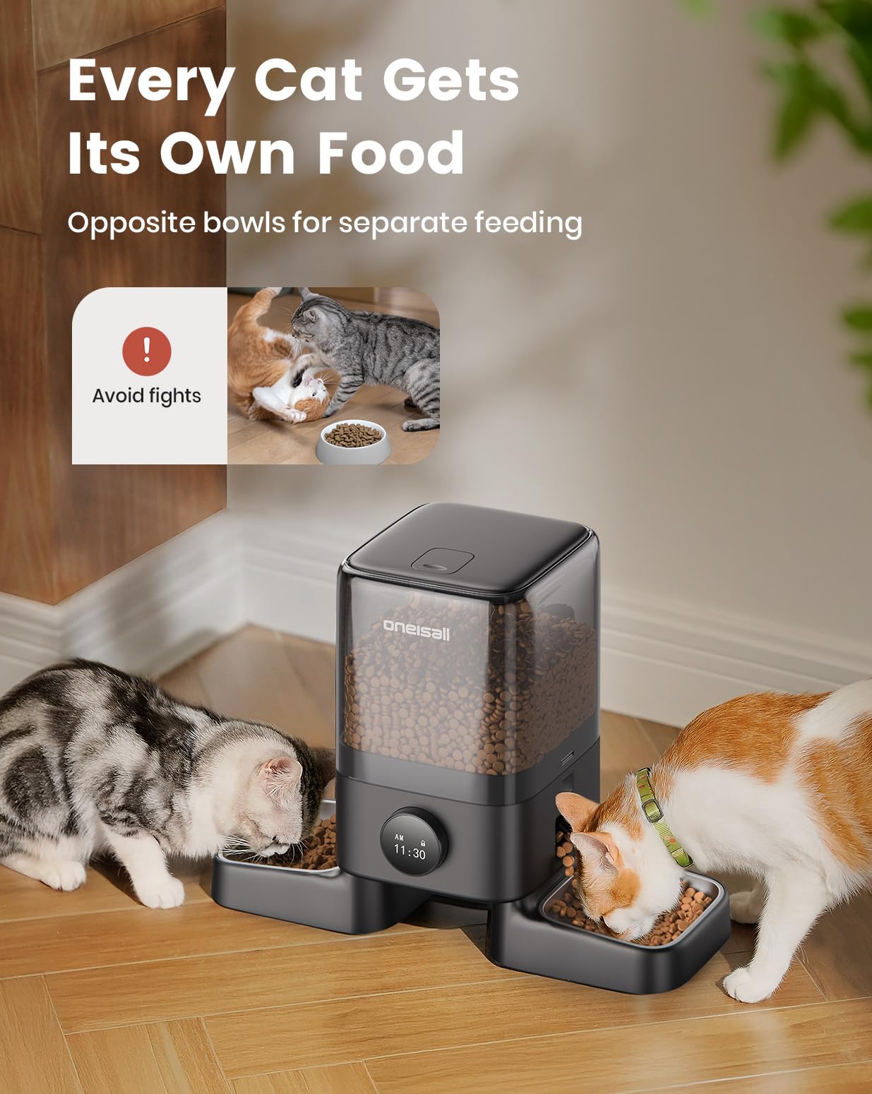 Oneisall feeder dispensing meals on schedule for two cats