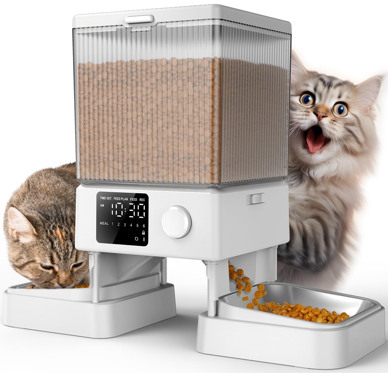 Oneisall automatic cat feeder front view for two cats, organized feeding.