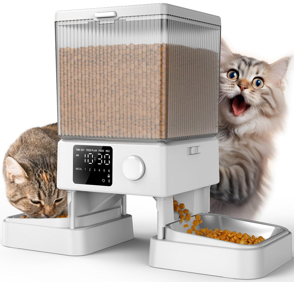 Oneisall automatic cat feeder front view for two cats, organized feeding.