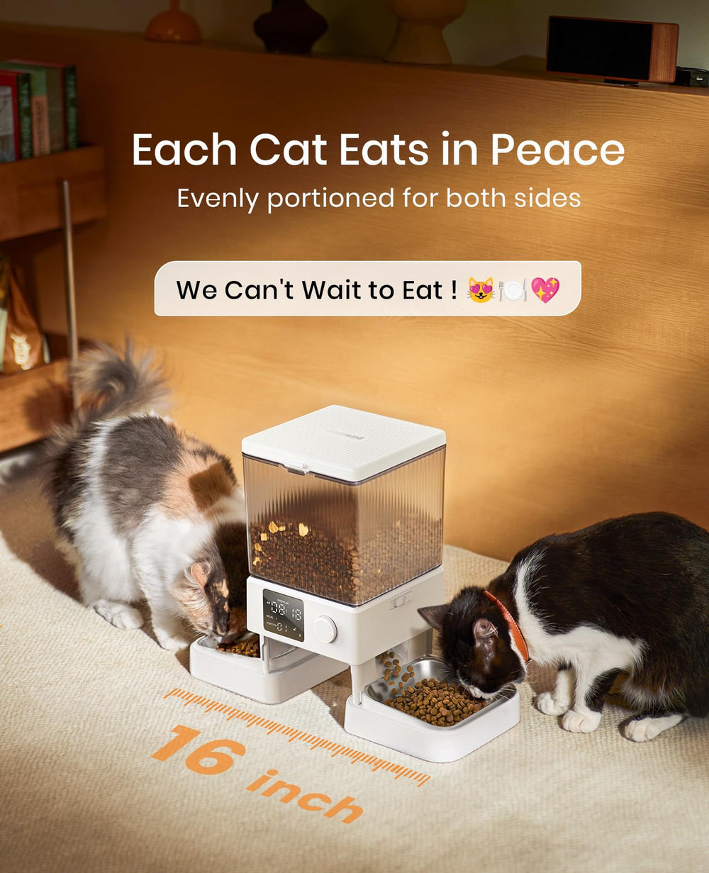 Oneisall automatic cat feeder with two opposite bowls for calm mealtimes.