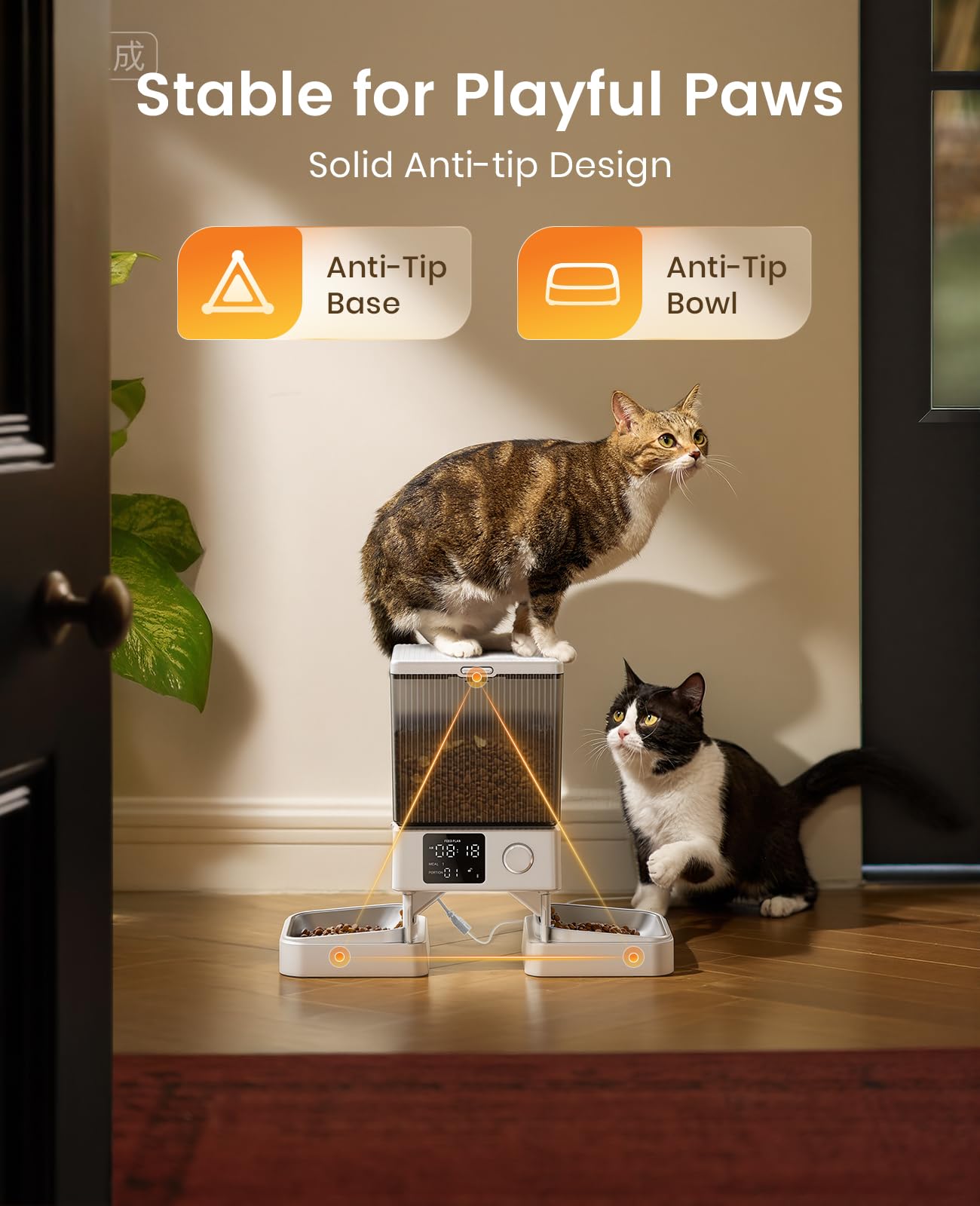 Oneisall feeder with 10-second voice recording feature.