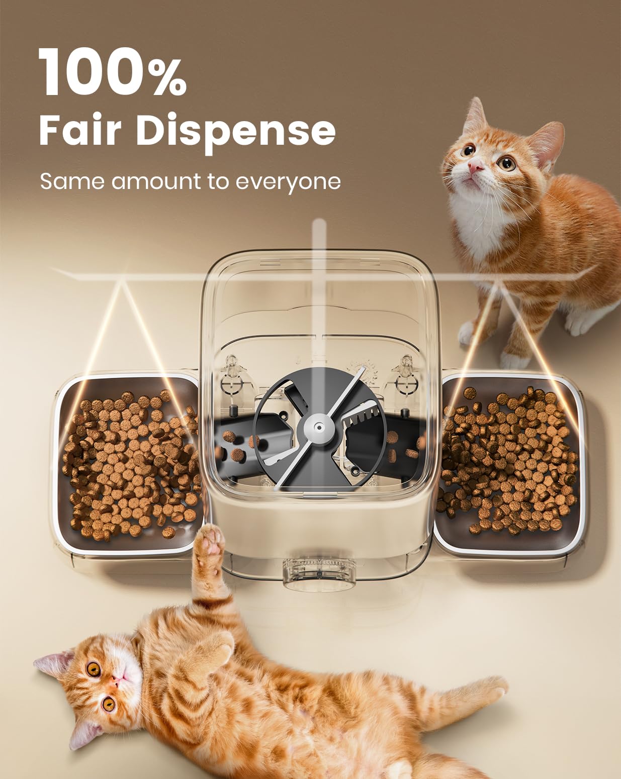 Two-cat friendly dual bowls setup for harmonious dining
