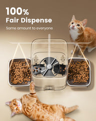 Two-cat friendly dual bowls setup for harmonious dining