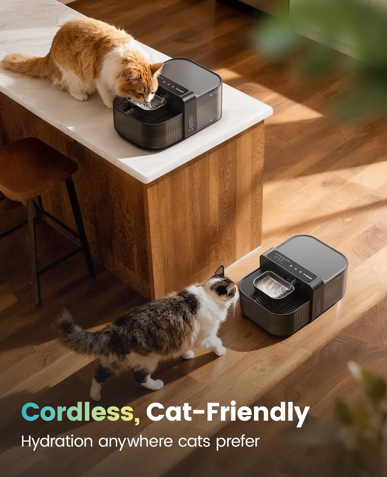 oneisall cat fountain with separate clean and dirty tanks for hygiene