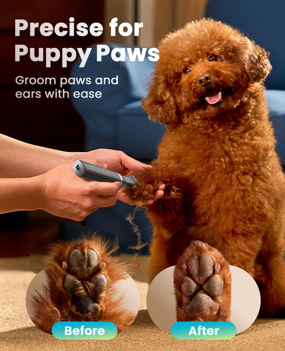 Oneisall low-noise operation keeps dogs calm during grooming