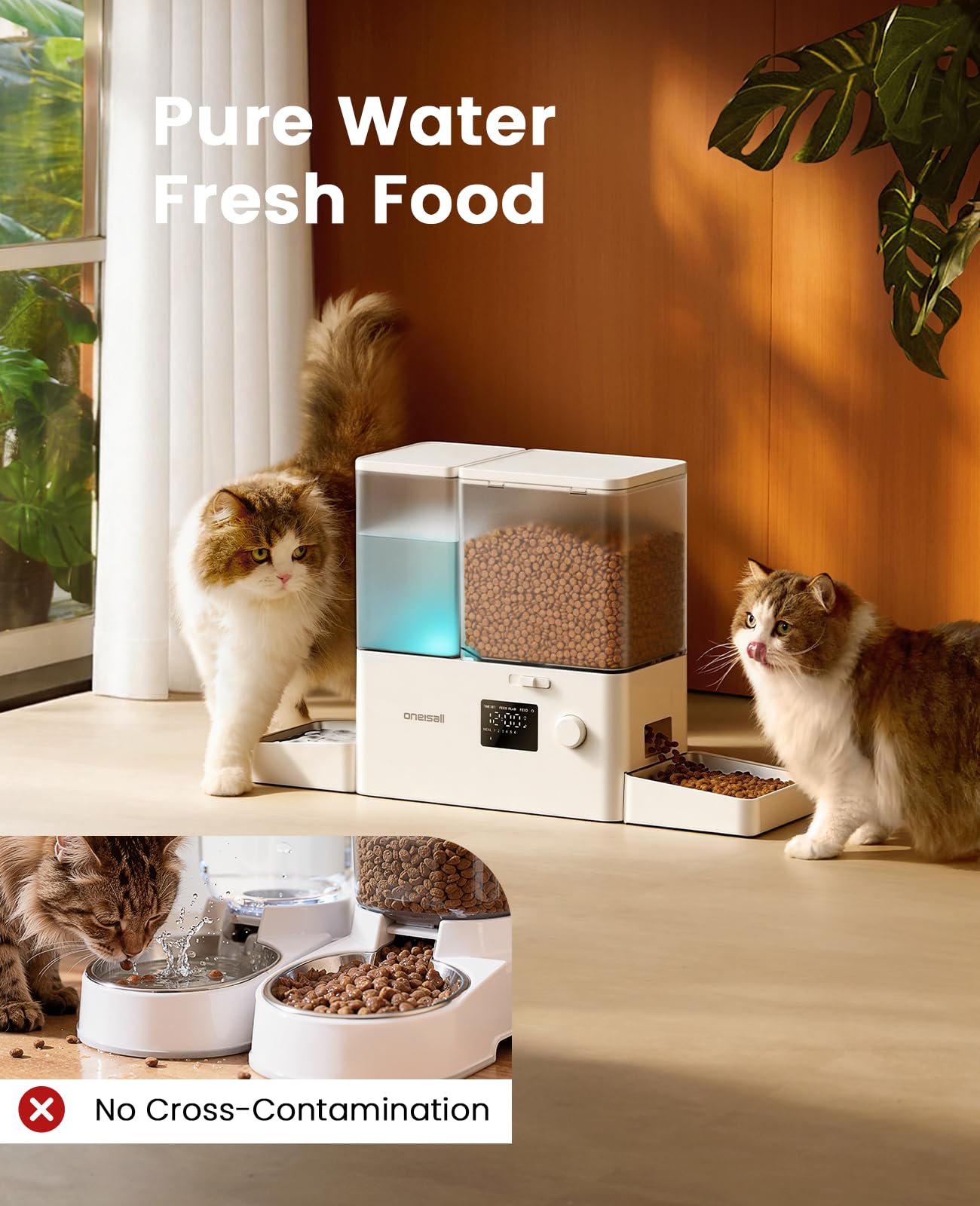 Oneisall dual-compartment design keeps food and water separate for cleaner meals