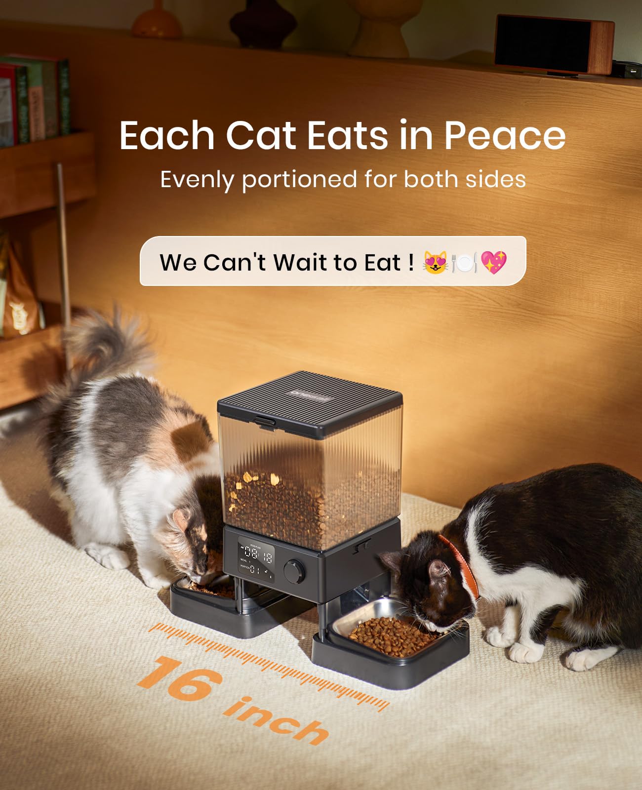 oneisall front view of two-cat feeder showing separate feeding spaces.