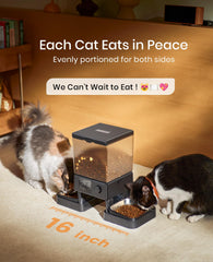 oneisall front view of two-cat feeder showing separate feeding spaces.