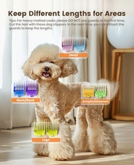 Oneisall low-noise design under 55 dB for calmer pets