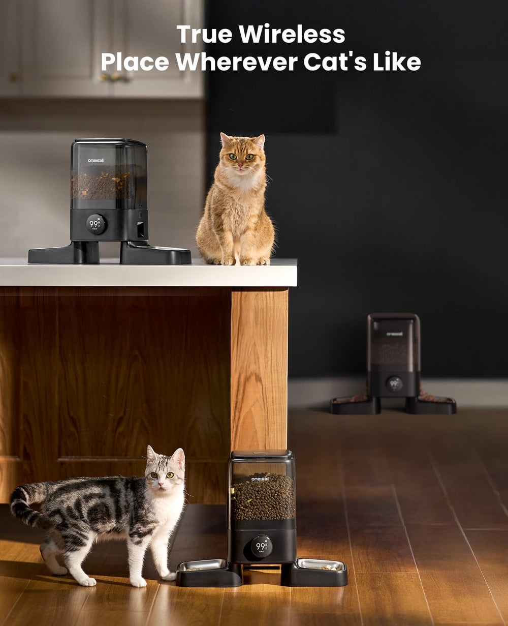 Oneisall two-cats dining layout demonstrating equal space during meals.