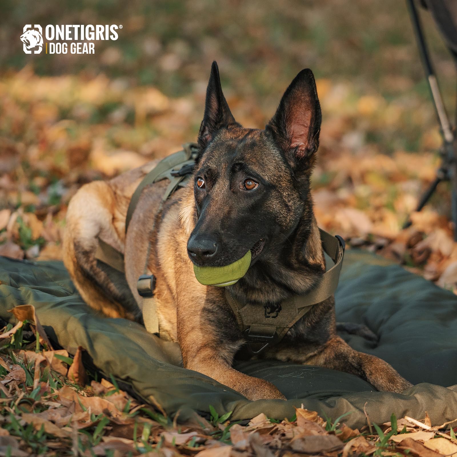 ONETIGRIS dog bed folds with carrying strap for convenient travel.