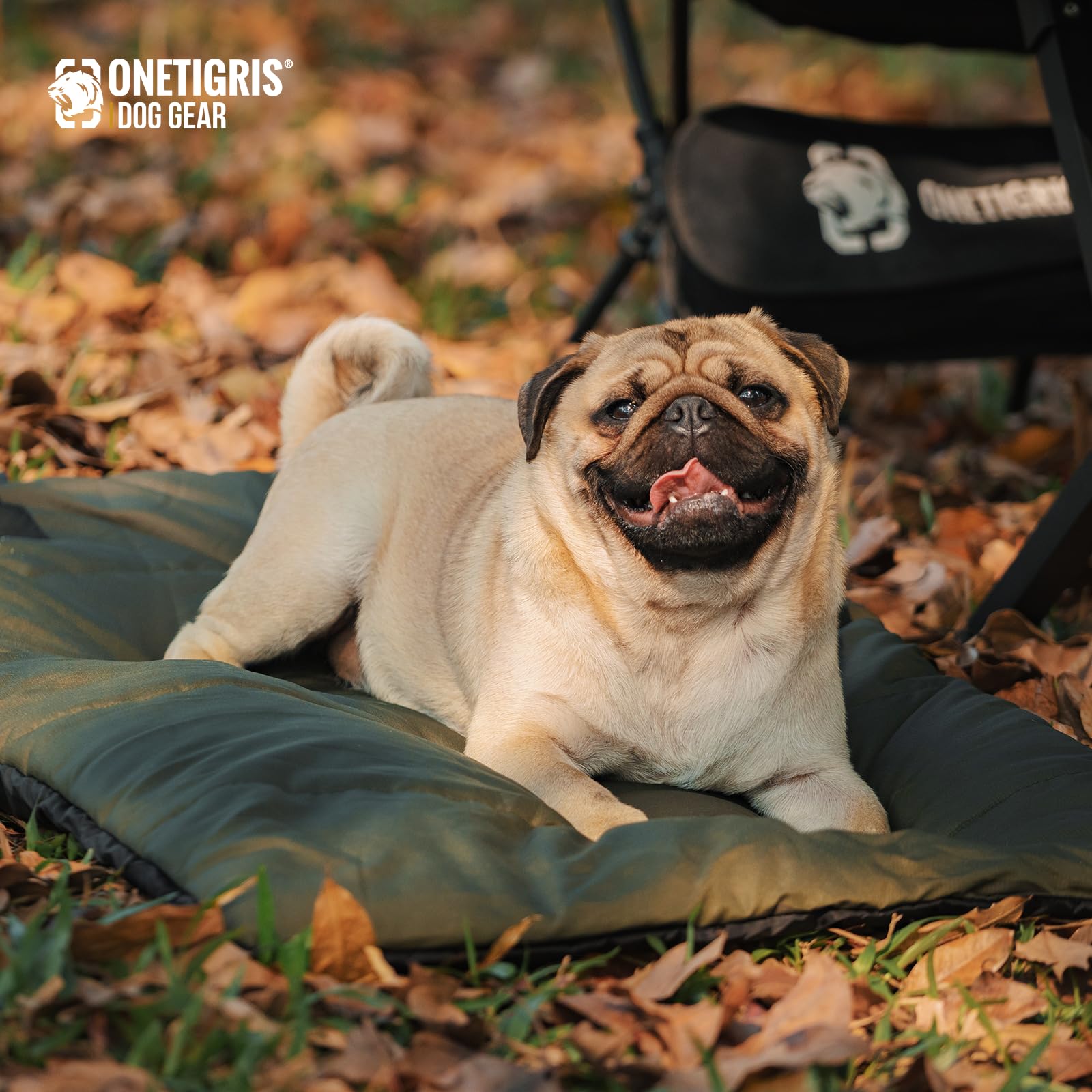Ideal for indoor or outdoor use, travel-ready and lightweight.